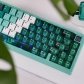 Dark Green Forest 94+114 PBT Dye-subbed PC Crystal Semitransparent Backlit Cool Keycaps Set Screen Printing for Cherry MX Keyboard